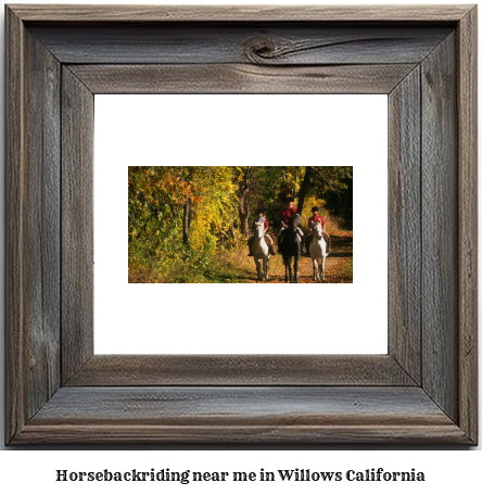 horseback riding near me in Willows, California